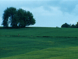 OJOBOCA